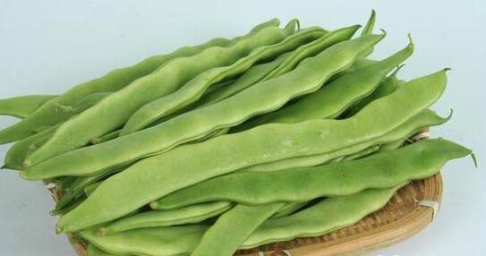 炎炎夏日多吃豆类能够祛湿护胃